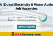 DEWA Careers